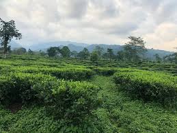 Jalpaiguri